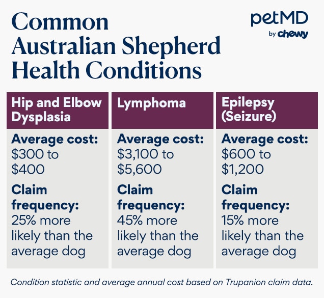 chart depicting australian shepherd health issues