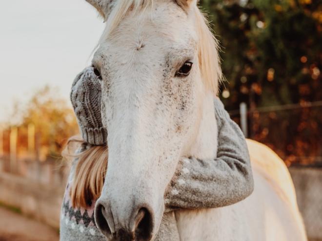 blonde woman hugging a white horse
