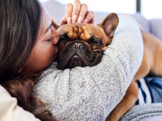 woman snuggling brown french bulldog on a couch